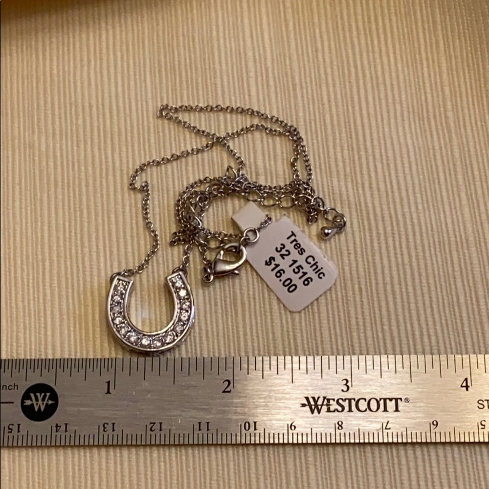Horseshoe necklace.